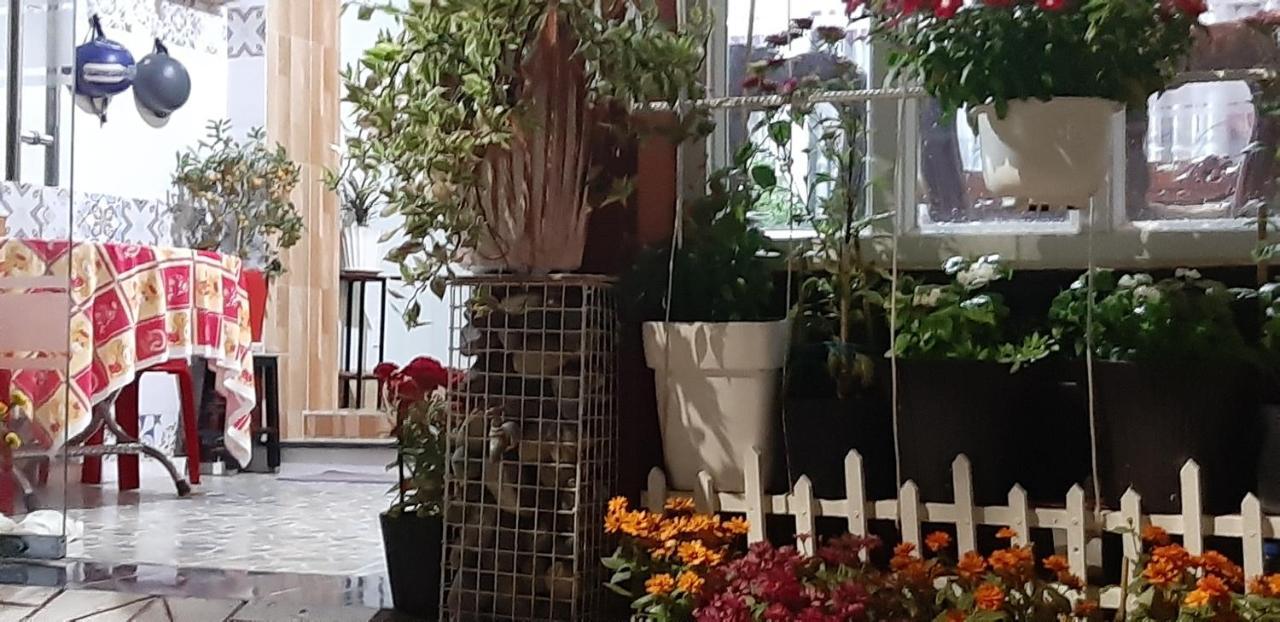 Homstay Thanh Son Chi Khu Co Ong Eksteriør billede